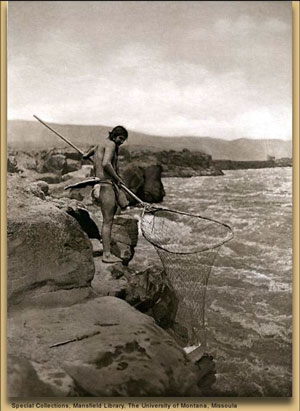 The native peoples of Montana used the Clark Fork River and its tributaries as a fishery, primarily for bull trout. The confluence of the Clark Fork and Blackfoot Rivers near Missoula was called the "place of the big bull trout" by local tribes. This photo shows similar traditional net fishing on the Columbia River. The Salish reportedly referred to the Silver Bow Creek watershed around Butte as the "place where you shoot fish with arrows."