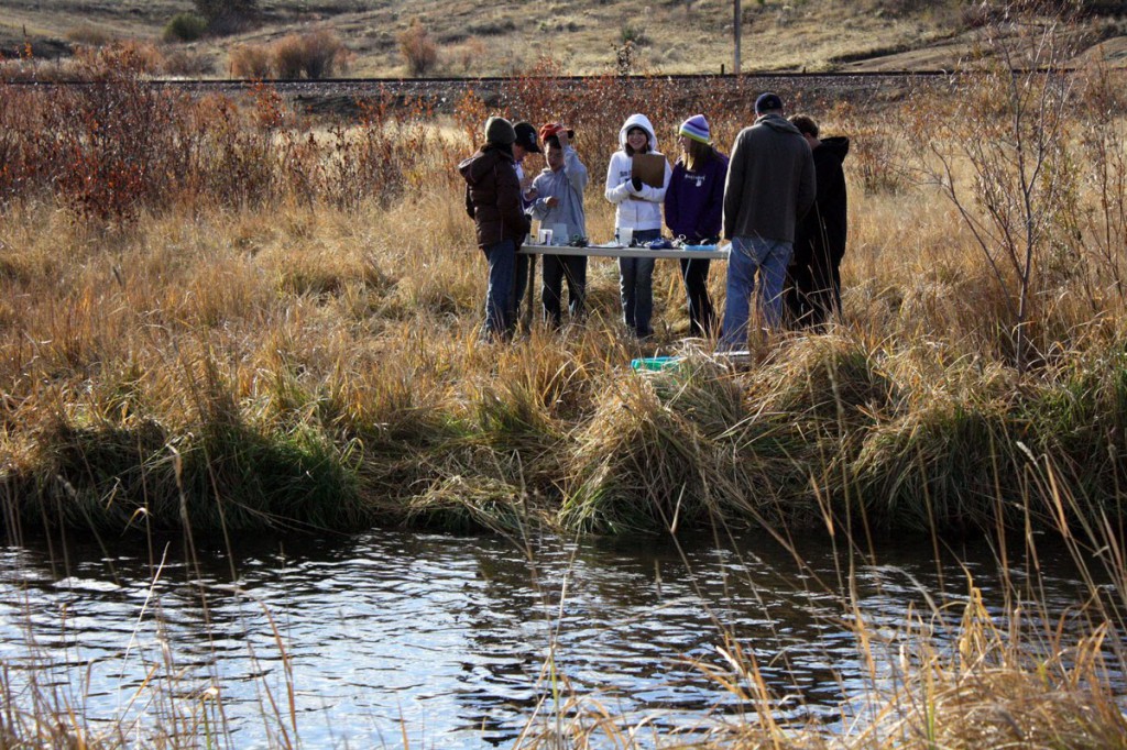 A restored reach of Silver Bow Creek near Butte, Montana, shows a developing riparian plant community.